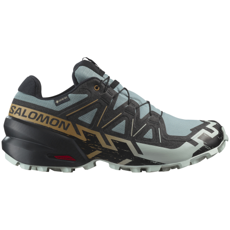 Мъжки обувки за бягане Salomon Speedcross 6 Gore-Tex
