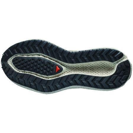 Дамски обувки Salomon Aero Glide 4 Grvl