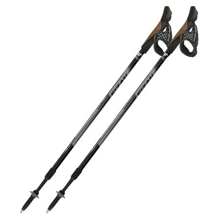 Щеки Fizan NW Speed