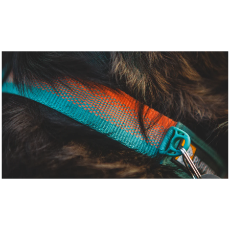 Нашийник за куче Ruffwear Front Range™ Collar