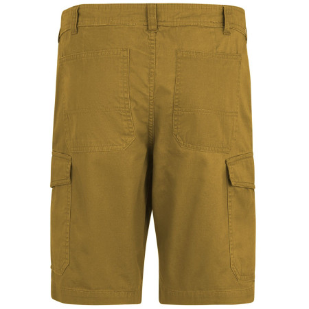 Мъжки къси панталони Regatta Ruwan Shorts