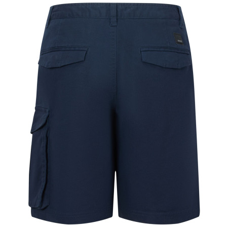 Мъжки къси панталони Regatta Bendrick Shorts