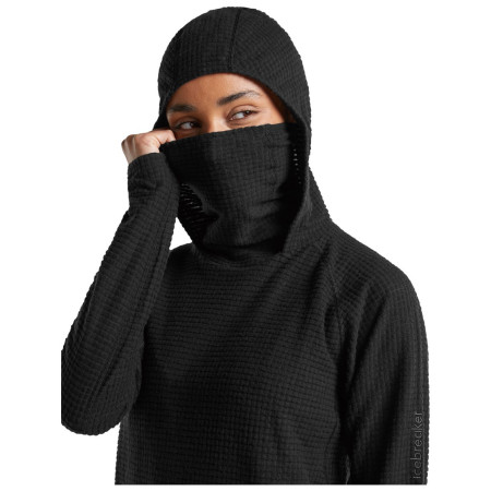 Дамски суитшърт Icebreaker Wom Mer 400 RealFleece Grid Pulover Hood