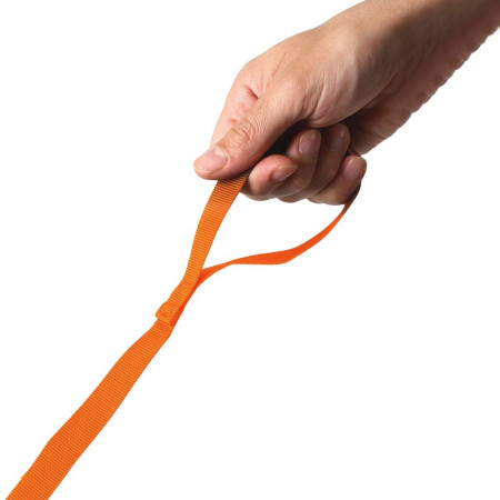 Детска раница LittleLife Toddler Backpack, FF, Lion