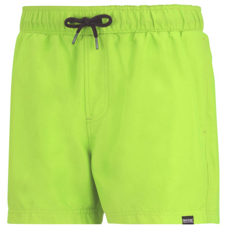 Мъжки бански Regatta Mawson Swim Shorts III