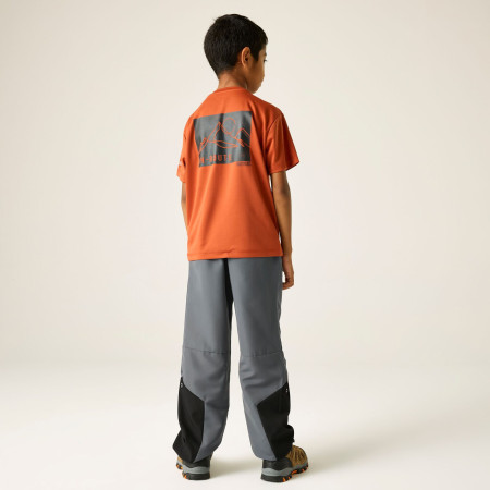 Детски панталони Regatta Sorcer Mountain Trousers VII Dark Storm