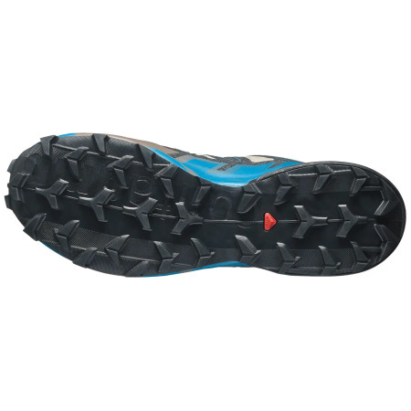 Мъжки обувки за бягане Salomon Speedcross 6