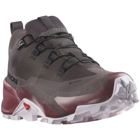 Дамски обувки за трекинг Salomon Cross Hike 2 Gore-Tex