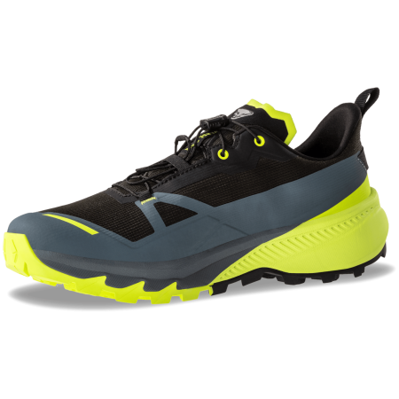 Мъжки обувки за бягане Dynafit Traverse 2 Gtx