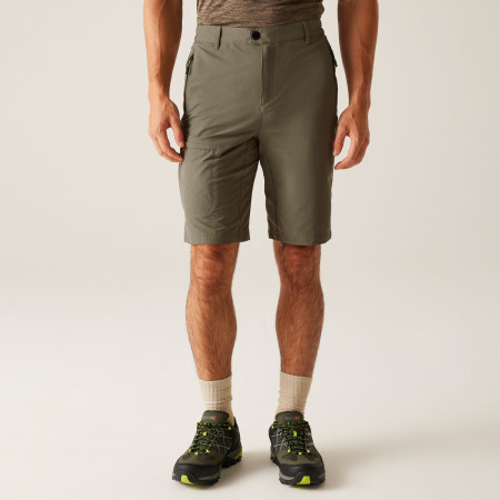 Мъжки къси панталони Regatta Highton Shorts Long II