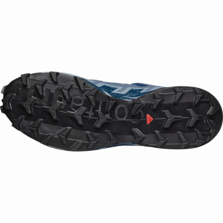 Мъжки обувки за бягане Salomon Speedcross 6 Gore-Tex
