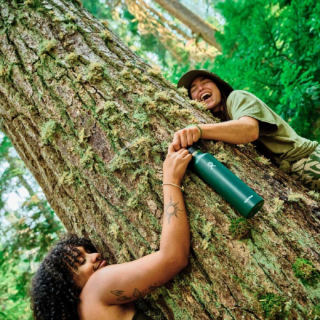 Термобутилка Hydro Flask Standard Flex Cap 24 oz