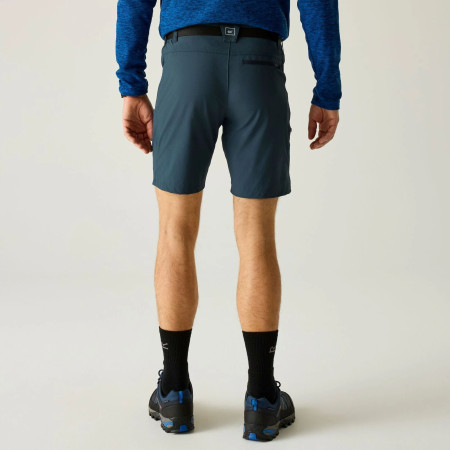 Мъжки къси панталони Regatta Xert Stretch Shorts