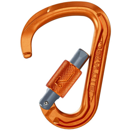 Карабинер Skylotec Leger BG (brilock gate)