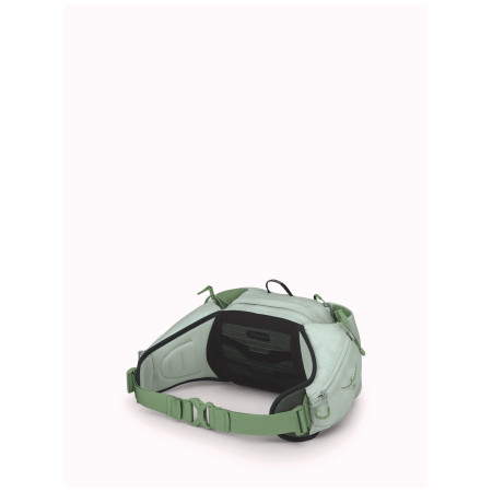 Чанта за кръста Osprey Tempest 6