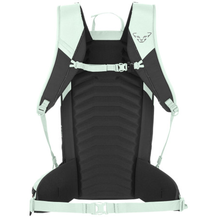 Дамска раница Dynafit Ridge 24 Backpack W