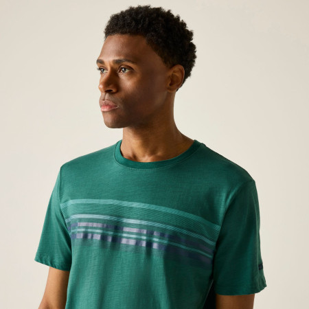 Мъжка тениска Regatta Rendro