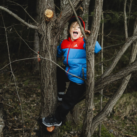 Детски обувки Adidas Terrex Ax4R K