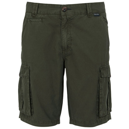 Мъжки къси панталони Regatta Shorebay Shorts II зелен Dark Khaki