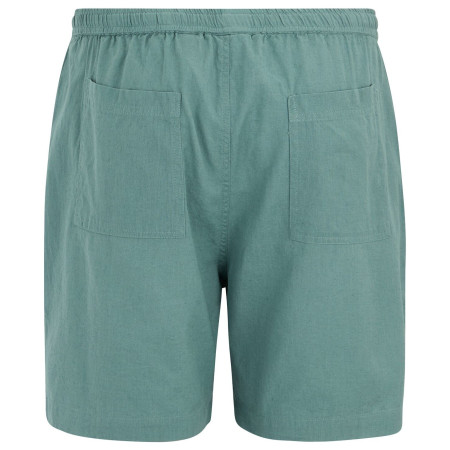 Мъжки къси панталони Regatta Hadlin Shorts