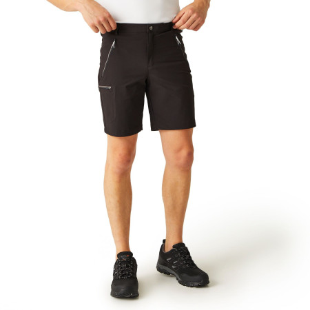 Мъжки къси панталони Regatta Xert Stretch Shorts III