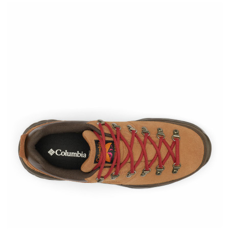 Мъжки обувки Columbia Newton Alpine™ Low