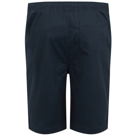 Мъжки къси панталони Regatta Aldan Short