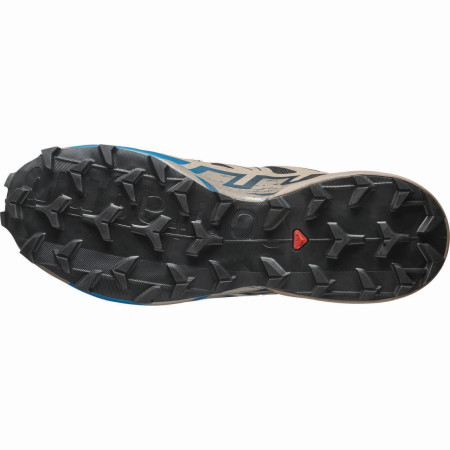 Мъжки обувки за бягане Salomon Speedcross 6 Gore-Tex