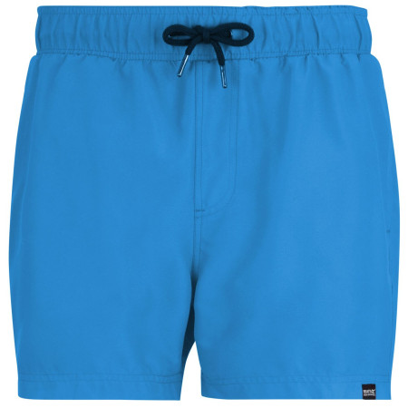 Мъжки бански Regatta Mawson Swim Shorts III