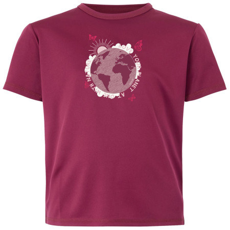 Детска тениска Regatta Alvarado IX