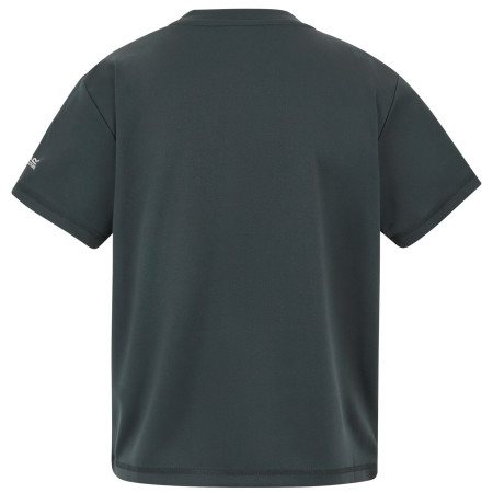 Детска тениска Regatta Alvarado Seal Grey