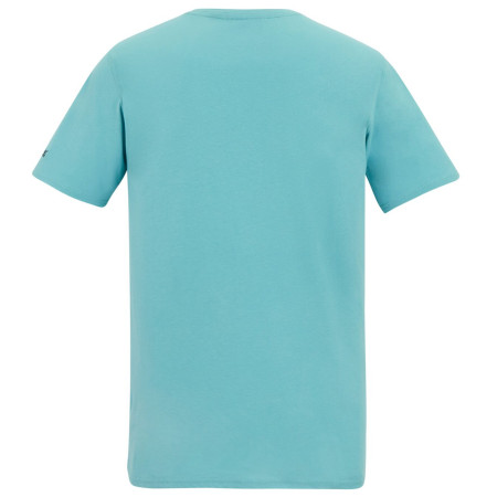 Мъжка тениска Regatta Cline IX