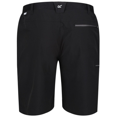 Мъжки къси панталони Regatta Xert Stretch Shorts III