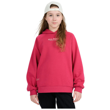 Детски суитшърт 4F Sweatshirt F1934