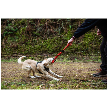 Играчка за куче Mountain Paws Braided Chew Rope Dog Toy