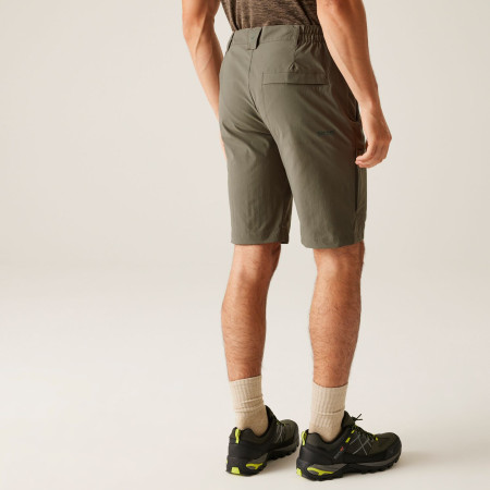 Мъжки къси панталони Regatta Highton Shorts Long II