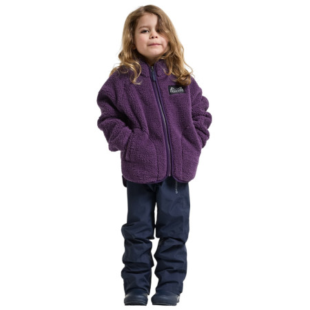 Детски суитшърт Didriksons Gibbs Kids Fullzip 2 Northen Purple