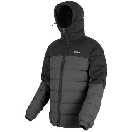 Мъжко яке Regatta Aldthorn