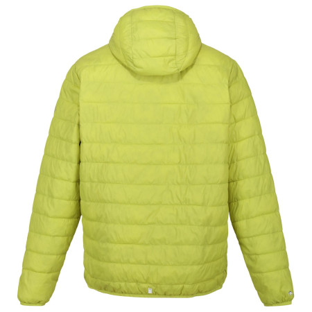 Мъжко зимно яке Regatta Hooded Hillpack