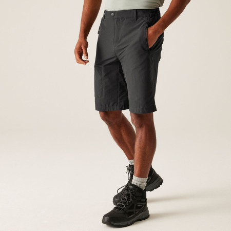 Мъжки къси панталони Regatta Highton Shorts Long II