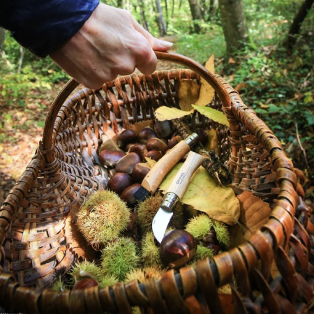 Сгъваем нож Opinel N°07 Inox