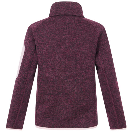 Детски суитшърт Regatta Junior Newhill Fig Powder Lilac