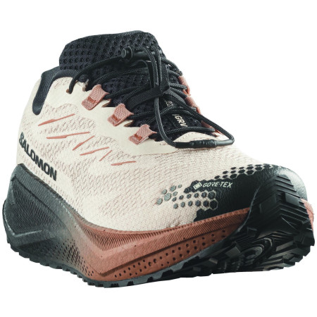 Мъжки обувки Salomon Aero Blaze 4 Grvl Gtx