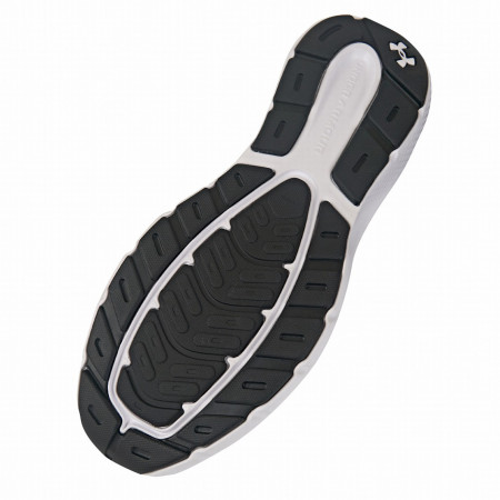Мъжки обувки за бягане Under Armour Charged Rogue 5