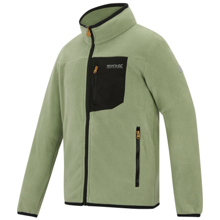 Детски суитшърт Regatta Junior Frankie F/Z Light Sage