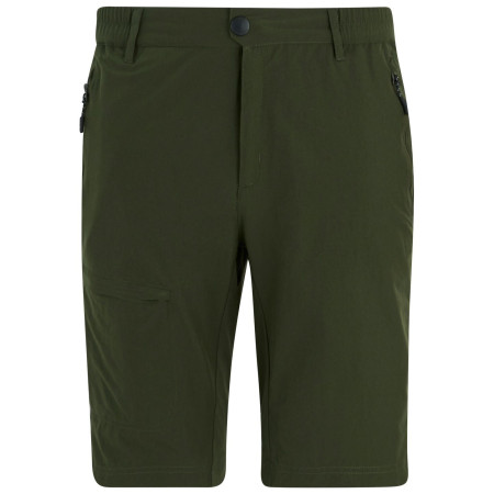 Мъжки къси панталони Regatta Highton Shorts Long II