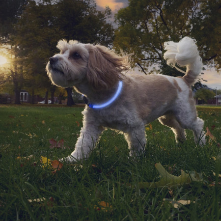 Светещ нашийник за куче Nite Ize NiteHowl® Rechargeable LED Safety Necklace