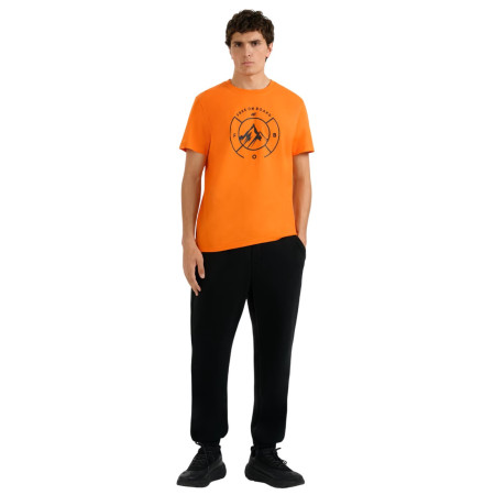 Мъжка тениска 4F Tshirt M3138