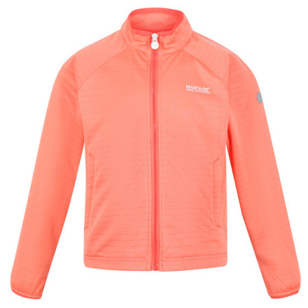 Детски суичър Regatta Jnr Highton LteII