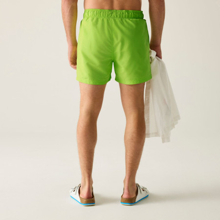 Мъжки бански Regatta Mawson Swim Shorts III